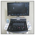 �S���G�R�[